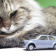 Illustration for article titled Easiest Custom. Ever. -MC Toy VW Golf GTI-